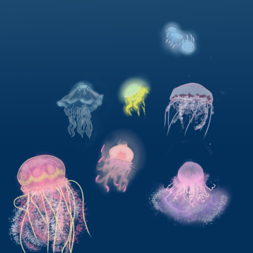 kawaii jellyfish | Tumblr