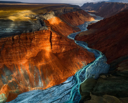 nevver:NatGeo Nature Photographers of the Year