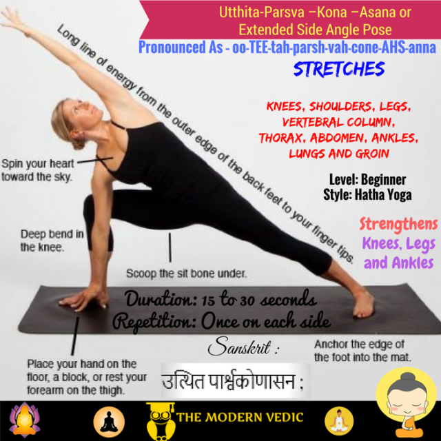 The Modern Vedic — Utthita Parsvakonasana Or Extended Side Angle Pose