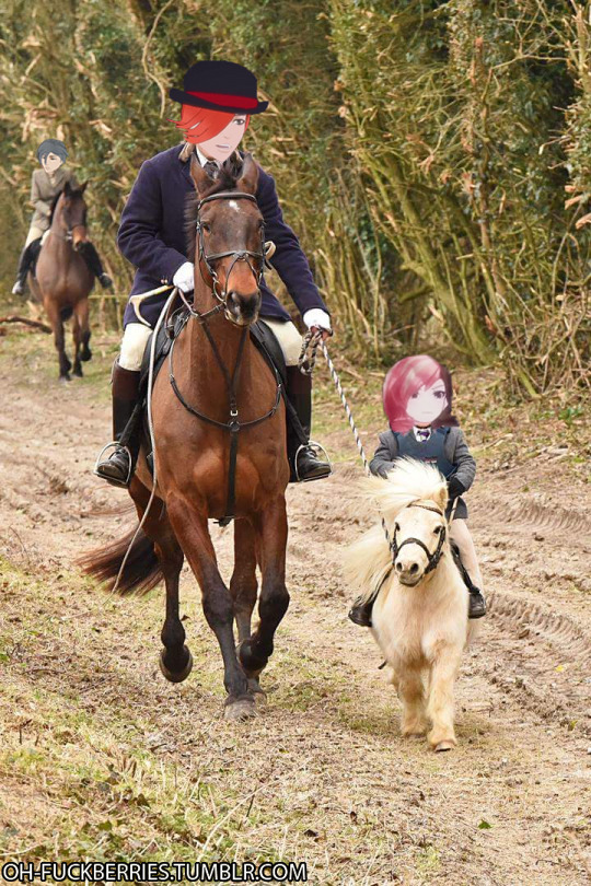 oh-fuckberries:
“a tiny horse for a tiny murder gremlin
”