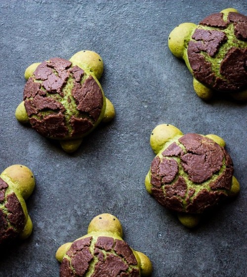 nae-design:Matcha milk bread turtles withchocolate dutch...