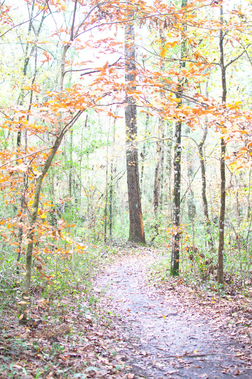 Wakulla Springs State Park