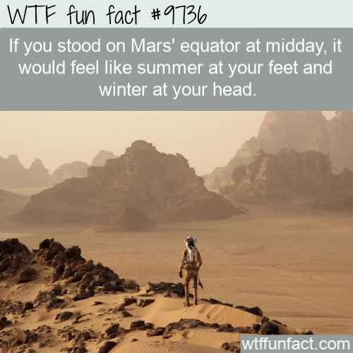 Amazing Random Fact: If you stood on Mars’ equator at midday, it would feel like summer at your feet and winter at your head.
