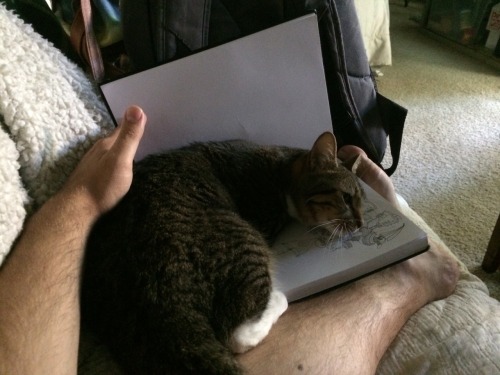 thedurvin:getoutoftherecat No, it’s not time for drawing any...