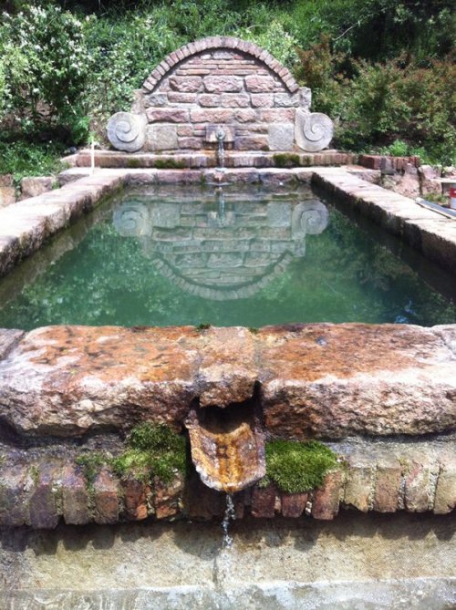 cmbyn-bts:“The fountain/trough in which Elio and Oliver bathe...