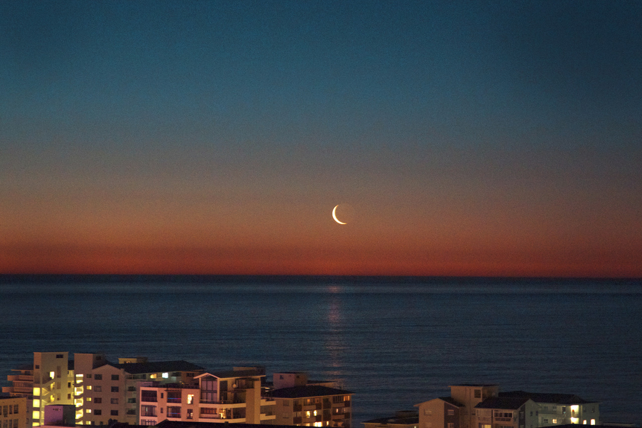 coconut — New Moon in Cape Town.