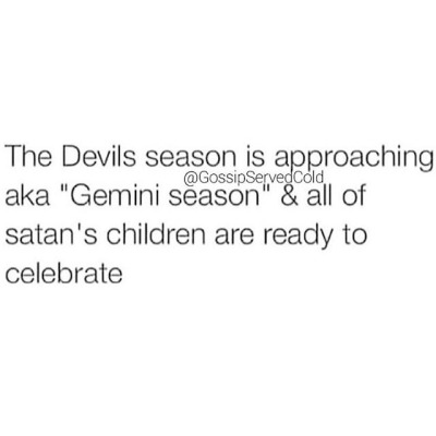 spicy gemini memes dog astrology