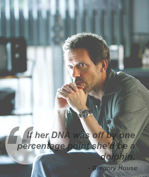 house md quotes on Tumblr