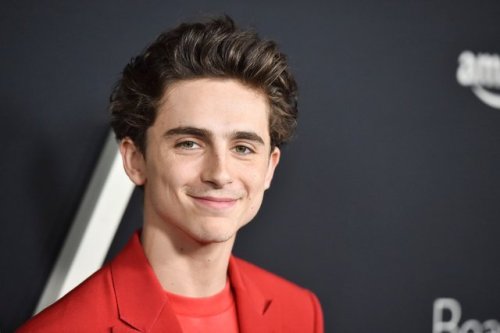 chalametdaily:Timothée Chalamet on the red carpet at the...