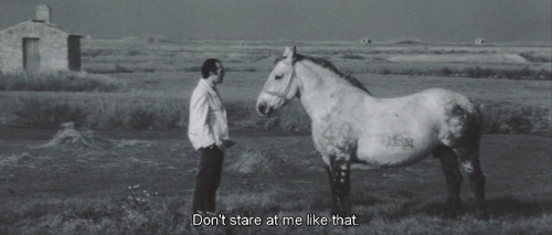 ozu-teapot:Les créatures | Agnes Varda | 1966Michel Piccoli...