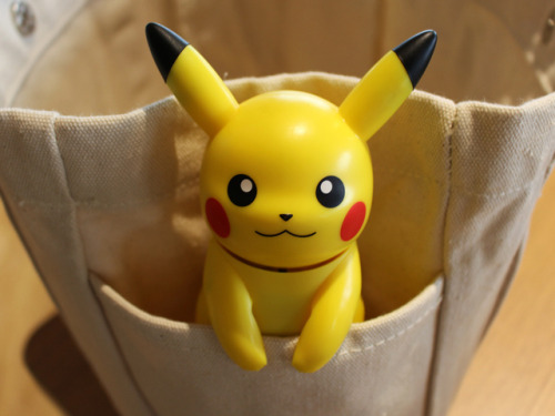 shelgon:Daisuki Club Images for the TALKING PIKACHU ROBOT...