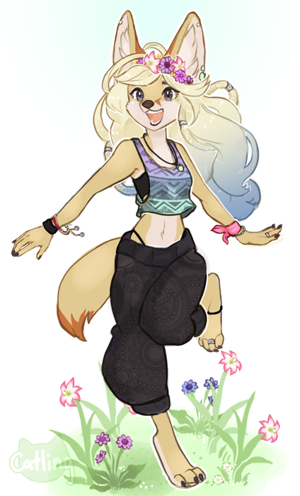 fennec fox on fennec fox on