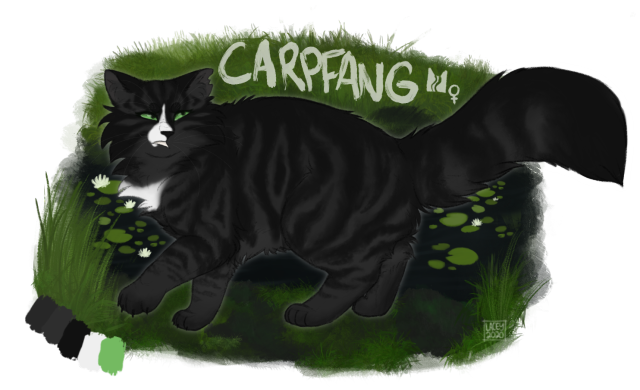 warrior cat oc ref | Tumblr