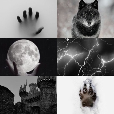 Wolf Aesthetic Tumblr