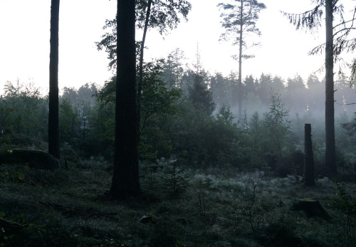 panphotosweden