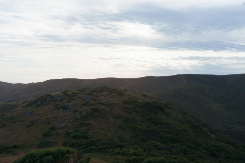 eaunor