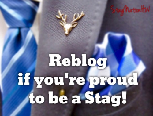 stagnationhw:REBLOG if you’re a Stag and not ashamed of...