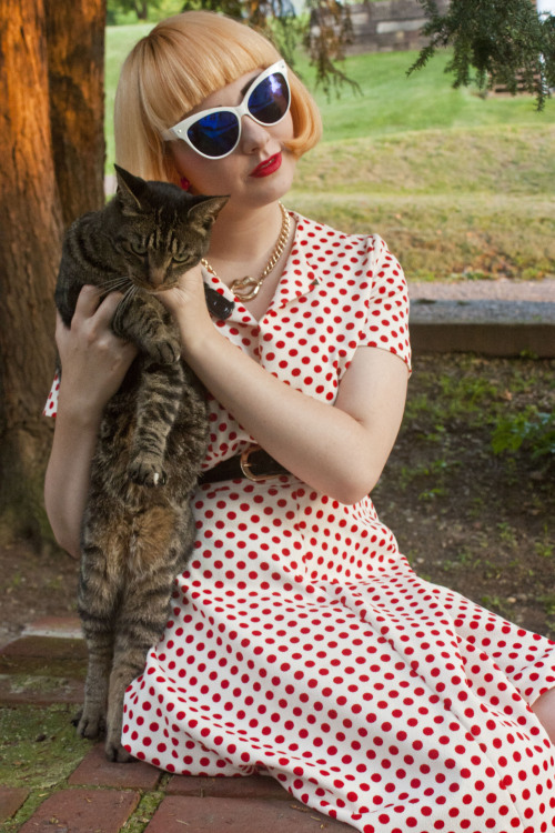 madisonkaylynne:My first look post, Kittens and Polka Dots, is...