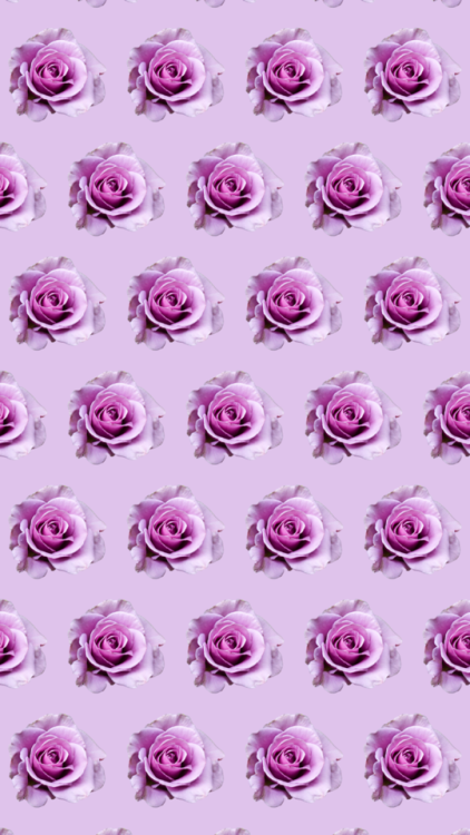  lilac  wallpapers  Tumblr 
