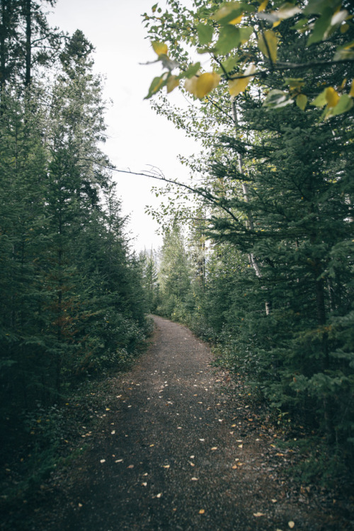 hannahkemp:Fall is Near//Canada September...