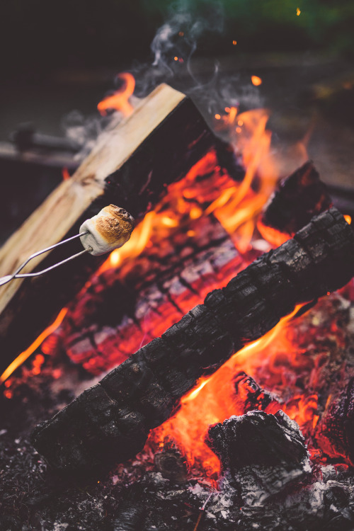 brianstowell:Went camping with Dad last night. Tillamook State...