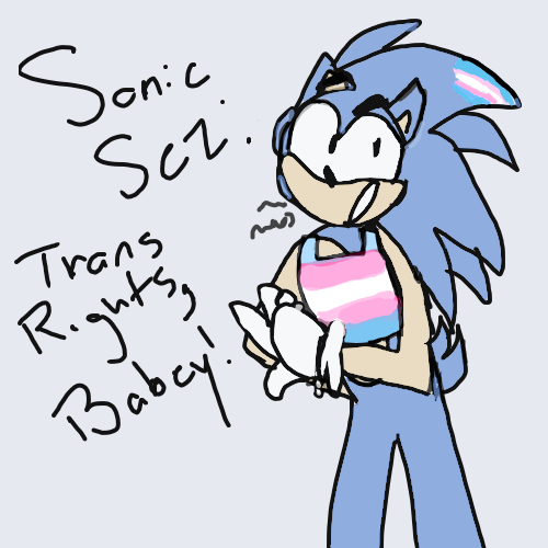 trans sonic on Tumblr