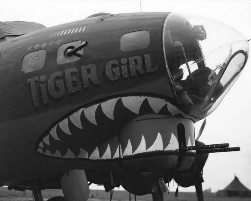 history-museum:B-17F-75-DL Flying Fortress 42-3555 of 8th Air...