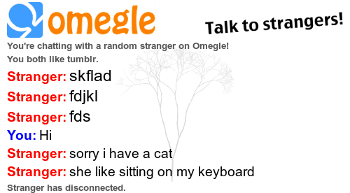 one on one chat with strangers yamada one on one chat with strangers yamada