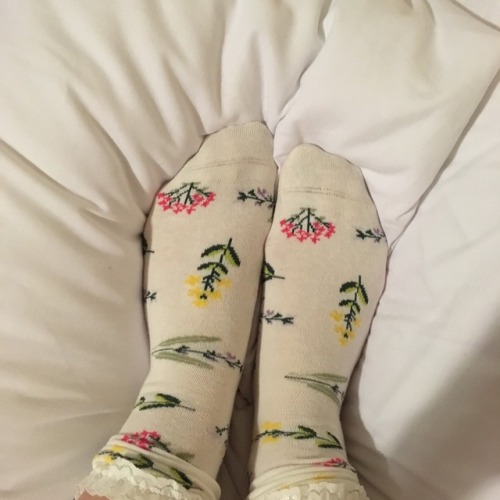 asteroided:Floral socks 