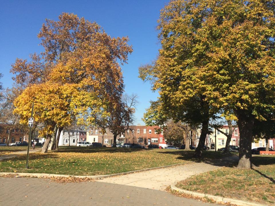 PHILADELPHIA PARKS & RECREATION — The History of Mifflin Square