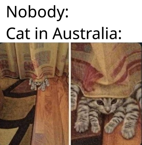 omghotmemes
