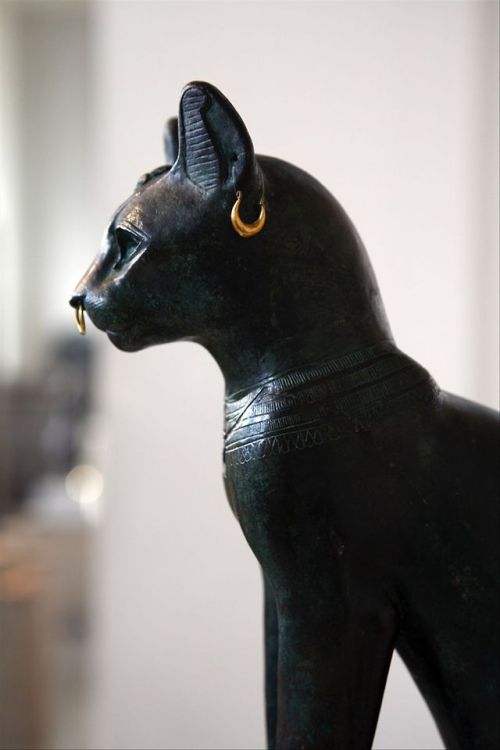 grandegyptianmuseum:Bastet, Gayer-Anderson CatBronze...