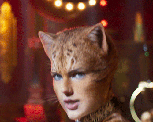 Taylor Swift Cats 2019 Gif