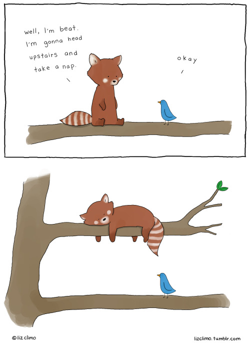 lizclimo:I finally drew a red panda, because RED PANDA <3...