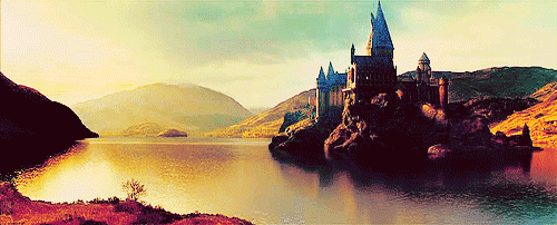 The Hogwarts School