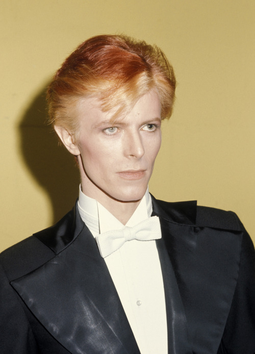 dustonmars:Evolution of Thin White Duke.Mid 1975: Halloween...