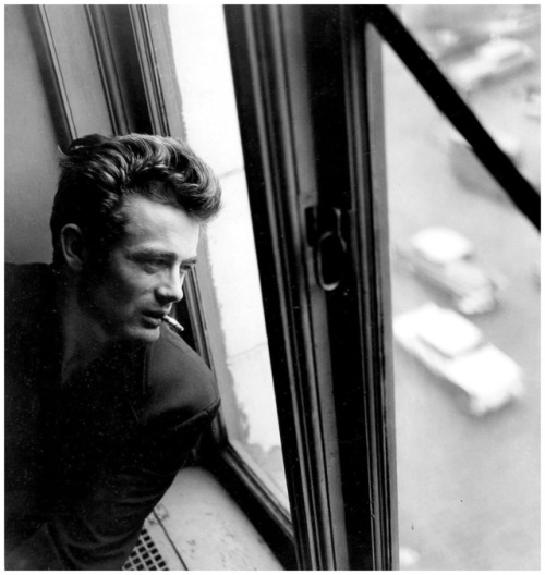 jamesmarilyndeanmonroe:James Dean.