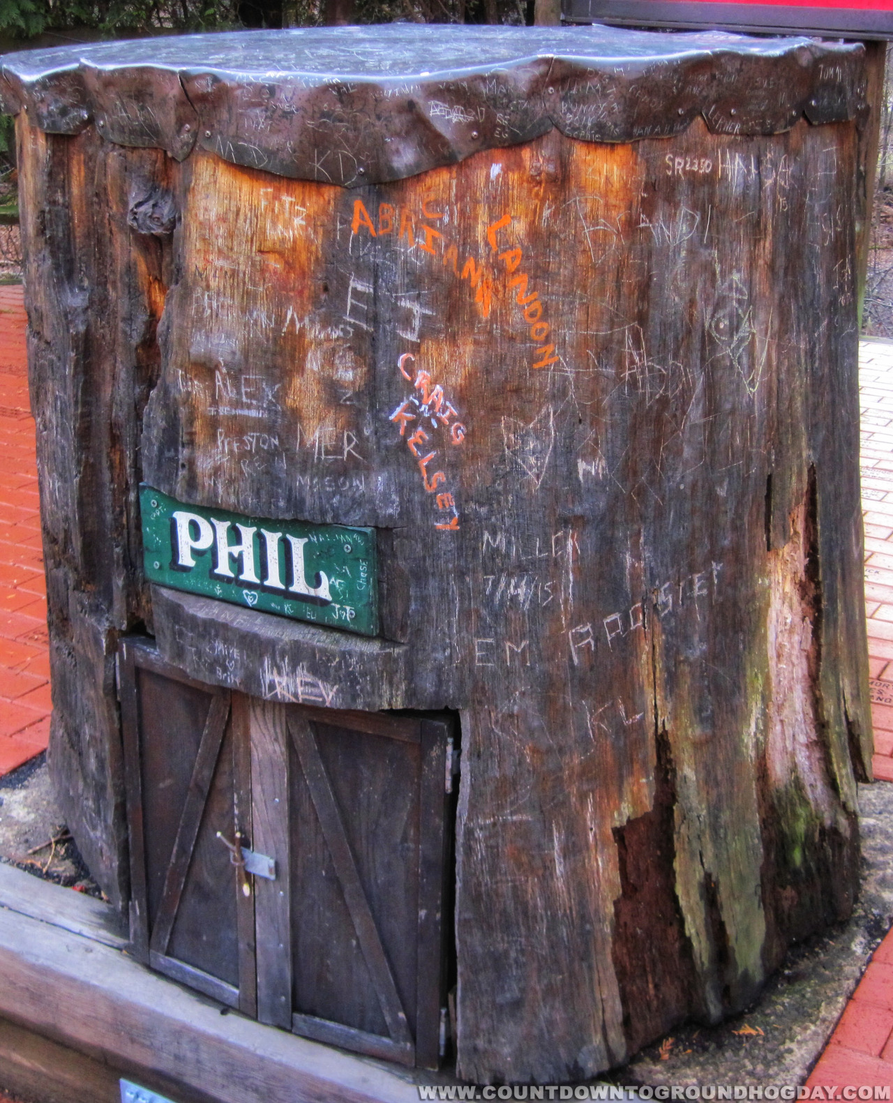 Punxsutawney Phil's stump
