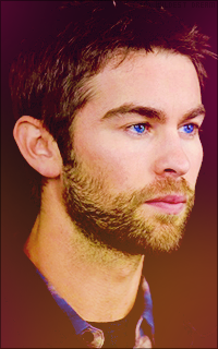 avatars  chace crawford Tumblr_oczt9ujKq71vpy05oo5_250