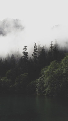 Download 76+ Background Tumblr Forest Gratis Terbaru