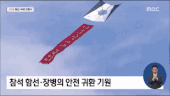 韓国海軍  国際観艦式