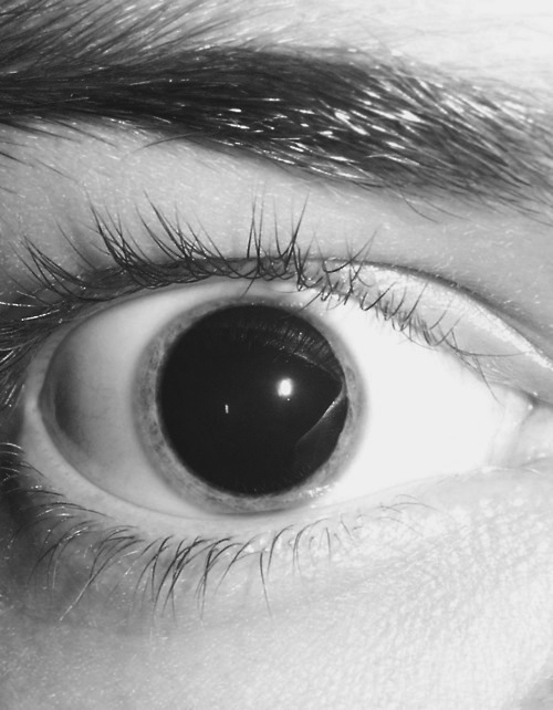 dilated pupils on Tumblr