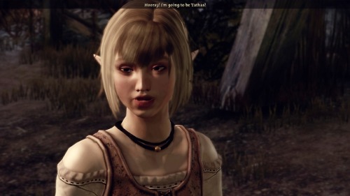 Dragon Age Origins Natural Bodies Mod Installation Skyrim Nexus