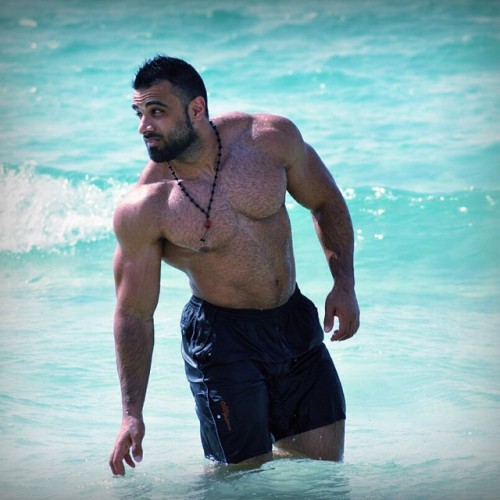 http://hairymacho.tumblr.com/