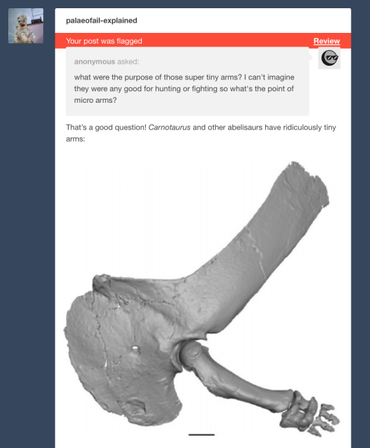 Ancient Tumblr - Tumblr's wonky algorithm is flagging innocent posts as adult ...