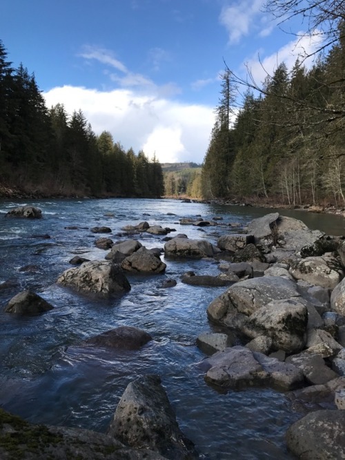 The four of us drove over to Snoqualmie Falls and...