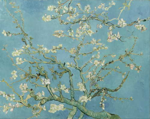 perrfectly:Vincent Van Gogh Almond Blossom