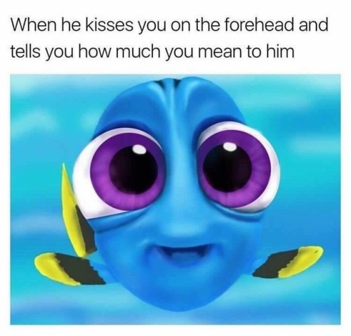 finding nemo on Tumblr