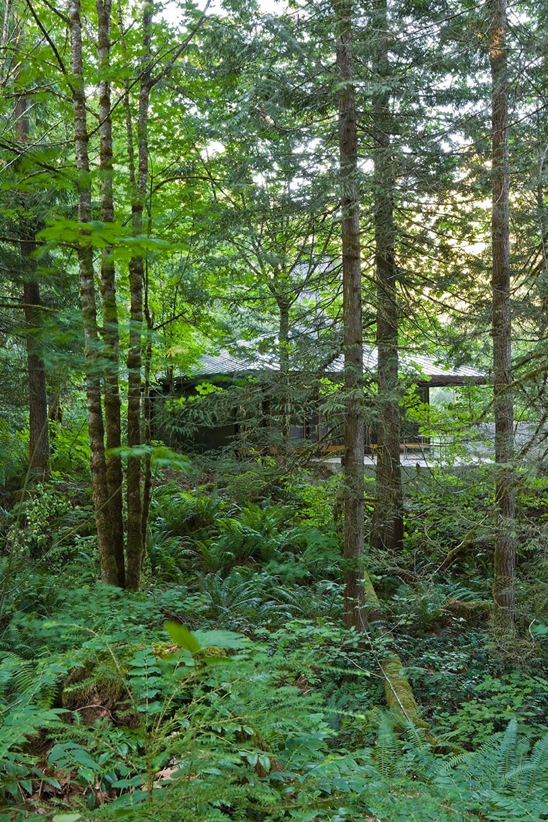 Architags Olson Kundig Architects Tye River Cabin