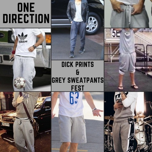 dick print grey sweatpants